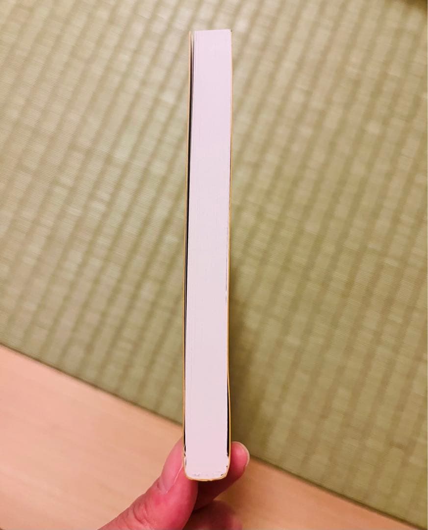 【非売品・限定300部発行】 『密室犯罪学教程』 理論と実践 1991 天城一
